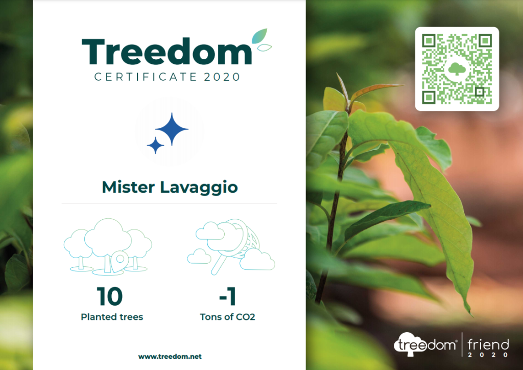 Treedom: pianta un albero e guardalo crescere!