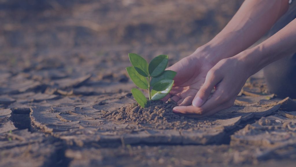 giornata mondiale dell'ambiente