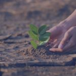 Giornata Mondiale dell’Ambiente: scegli Mister Lavaggio